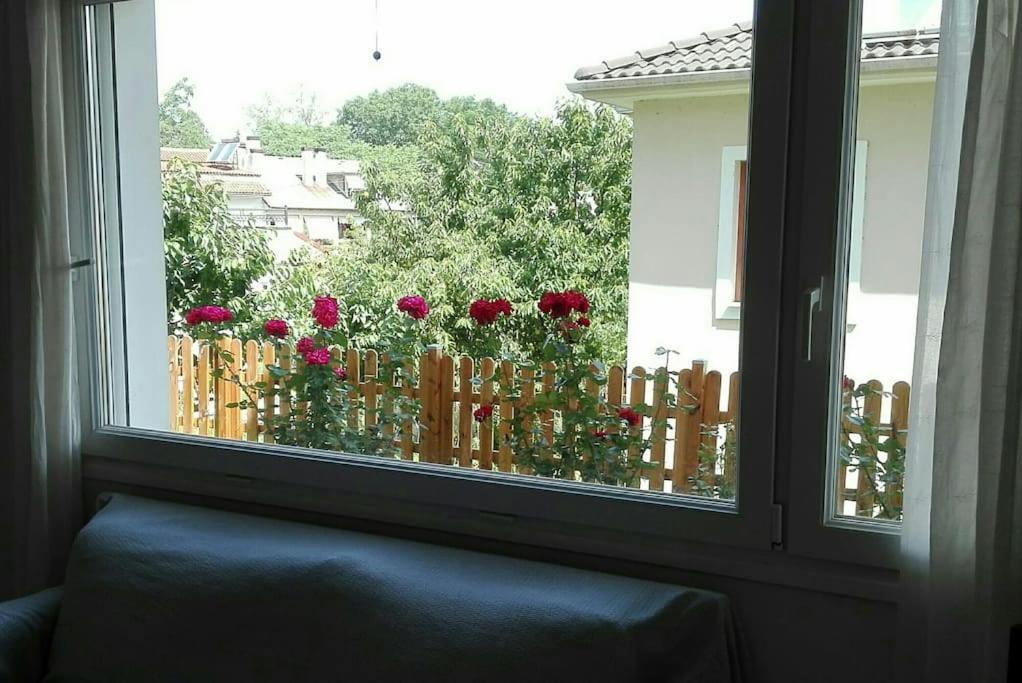 יואנינה Lily'S Apartment מראה חיצוני תמונה